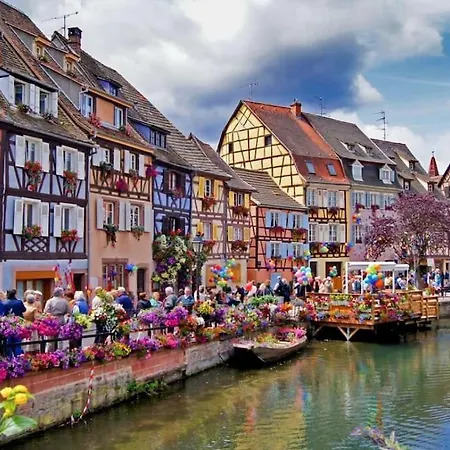 Le Lovelyhome Au Centre Avec Jacuzzi Et Sauna Proche Gare Et Parking Gratuit Colmar