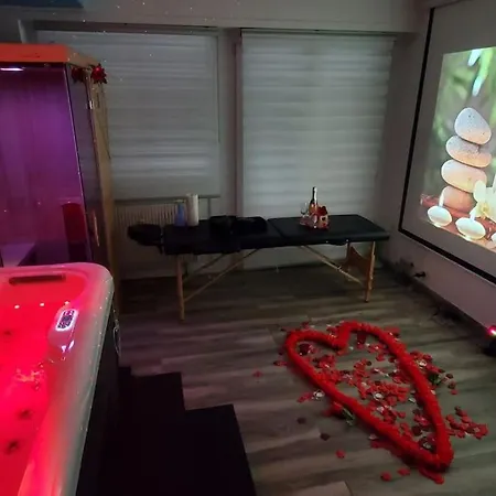 Le Lovelyhome Au Centre Avec Jacuzzi Et Sauna Proche Gare Et Parking Gratuit Colmar